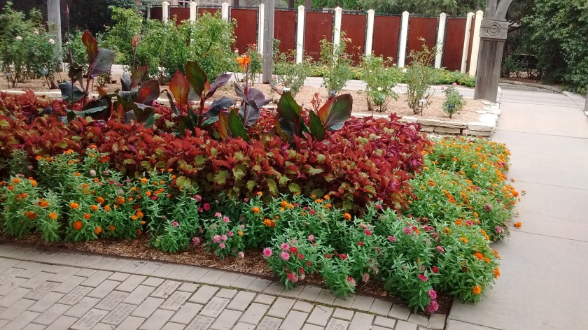 IMG_20170730_151742635